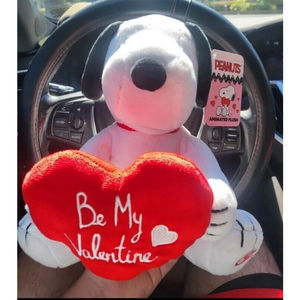2024 Peek A Boo Valentines Day Plush Snoopy Peanuts Animatronic CVS TikTok!!!